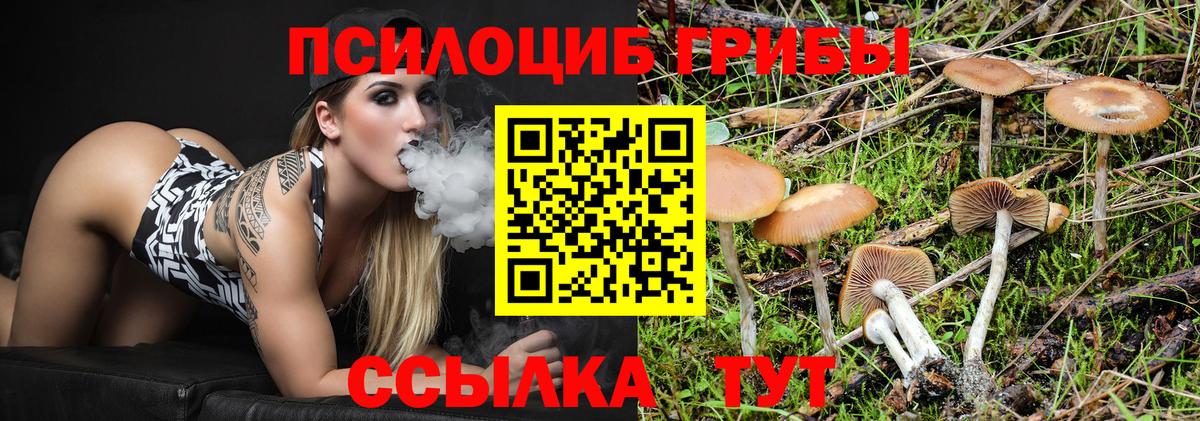 Псилоцибиновые грибы ЛСД Карпинск